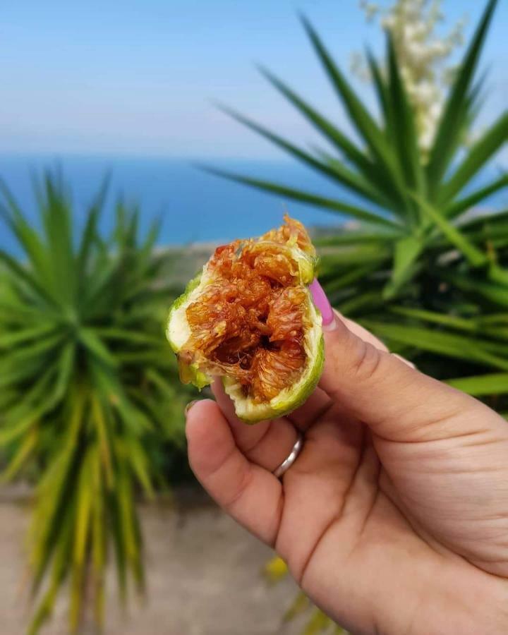فيلا Azienda Agrituristica La Fonte بونيفاتي المظهر الخارجي الصورة